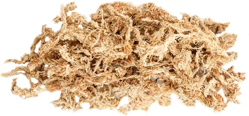 Miniatura 7 de SuperMoss (22306) Musgo Sphagnum, fibra de larga duración superior retención de agua para orquídeas y plantas de vivero, 4 onzas de color blanco