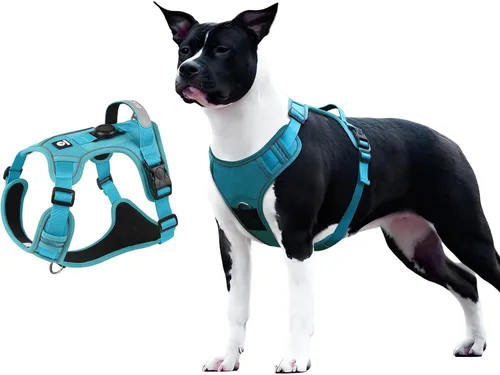 Miniatura 11 de Arnés para perro sin tirones con soporte para Airtag para perros de tamaño mediano, ajustable, a prueba de escapes, sin estrangulamiento y chaleco