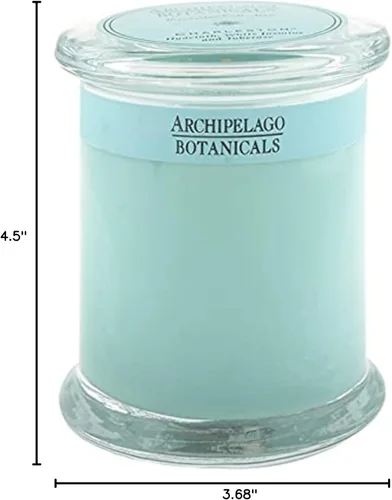 Miniatura 5 de Archipelago Botanicals Charleston Vela en tarro de cristal, aroma a jazmín, tuberosa y jacinto, mechas de vela sin plomo, quema aproximadamente 60