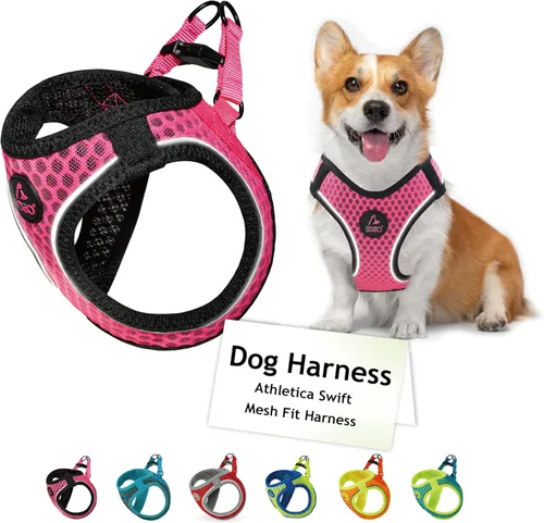 DOCO Arnés para perro │ Arnés para cachorros Athletica para perros pequeños │ Chaleco resistente sin estrangulamiento, ligero reflectante (perros de