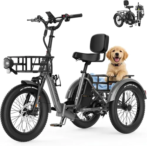 Miniatura 21 de MOONCOOL Triciclo eléctrico plegable para adultos, E-Trike de aluminio de 20 pulgadas con función de marcha atrás y opciones de largo alcance, Plata