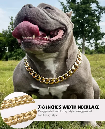 Miniatura 2 de Collar de perro de cadena dorada – Collar de perro de eslabones cubanos de metal de 7/8 pulgadas de ancho con cinturón de cuero, ligero protege