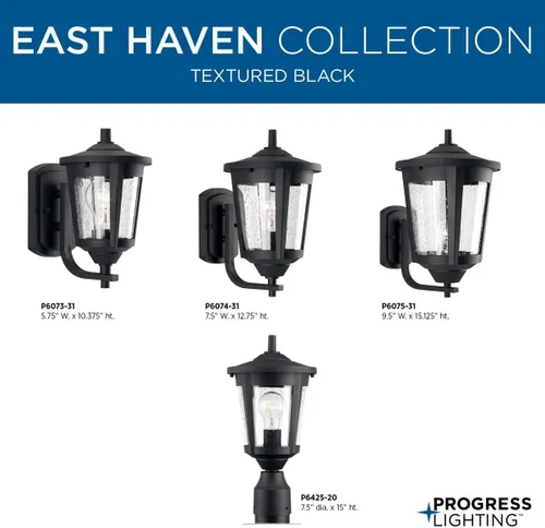 Miniatura 6 de Progress Lighting East Haven Collection - Farol de pared mediana de transición de cristal transparente con 1 luz, color negro