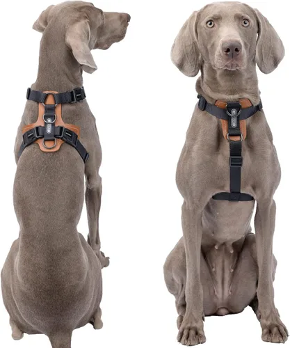 Miniatura 2 de Arnés para perro, arnés para perro sin tirones con almohadillas lesthe, ideal para pasear y entrenar perros. Arnés para perro fácil de caminar