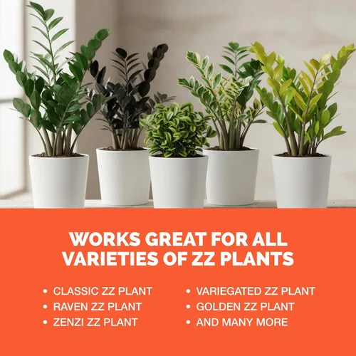 Miniatura 6 de ZZ Fertilizante para plantas – Alimento líquido para plantas para hojas verdes brillantes, raíces más fuertes y un nuevo crecimiento saludable, 8