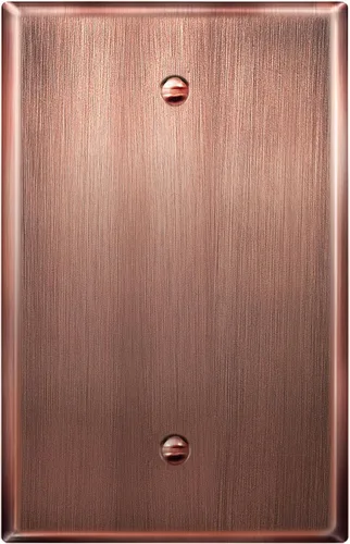 LIDER Placa de pared de metal en blanco, cubierta de salida en blanco de acero inoxidable, resistente a la corrosión, tamaño mediano de 1 banda,