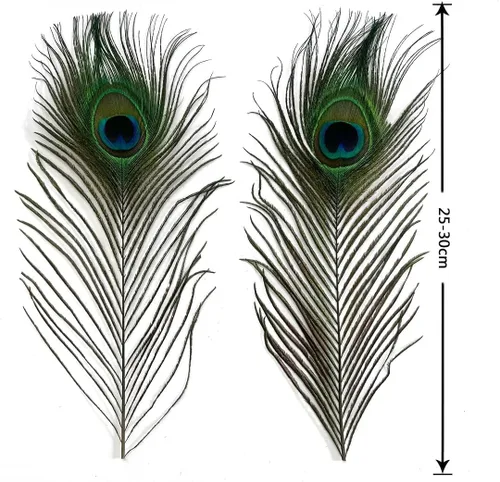 Miniatura 3 de Plumas naturales de pavo real con plumas de cola de pavo real de 10-12 pulgadas (9.8-11.8 in) para bodas, fiestas, artes y manualidades, decoración