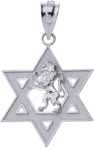 Miniatura 4 de Colgante hebreo certificado de oro de 14 k Israel León de Judá Magen David Star Hebreo