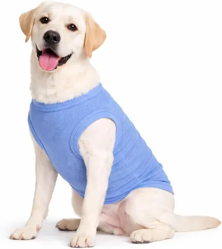 Miniatura 61 de Lovelonglong Ropa para mascotas de verano 2019, ropa para perro, camisetas en blanco, camisetas acanaladas, chalecos de hilo superior para perros