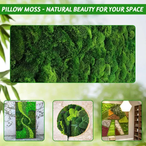Miniatura 3 de TCYPUHL Cojín de musgo preservado verde oscuro de 1 pies cuadrados para plantas, manualidades de interior, arte de pared, bricolaje, terrarios