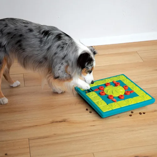 Miniatura 8 de Outward Hound por Nina Ottosson Multipuzzle Nivel 4 Experto Rompecabezas para Perros con Tratamientos para Enriquecimiento, Azul Multipuzzle (Verde)