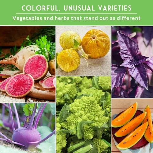 Miniatura 4 de Raras semillas exóticas de vegetales y frutas para plantar – Paquete de 6 variedades autóctonas con Romanesco, pepino limón, rábano sandía y más
