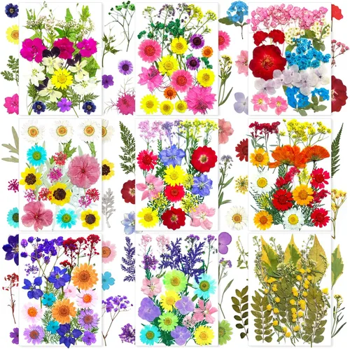 Miniatura 11 de MIKIYA 90 piezas de flores secas prensadas de otoño para resina, hojas florales secas de color naranja natural a granel para manualidades, moldes