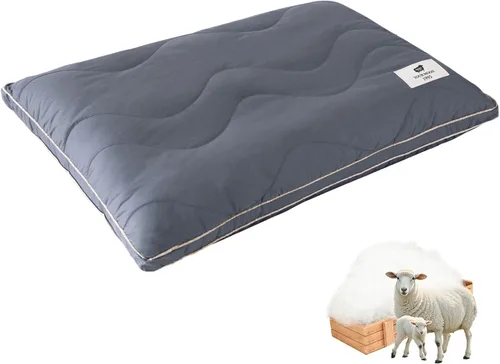 YOUR MOON - Almohada Suave de Lana Orgánica Queen, Almohada Plana y Delgada de Lana para Dormir, Almohada de Cama de Bajo Volumen para Espalda y