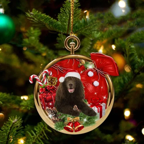 Miniatura 42 de Nazenti Adorno personalizado de bola de Navidad de pastor australiano – Adorno de perro personalizado para amantes de las mascotas, colgante