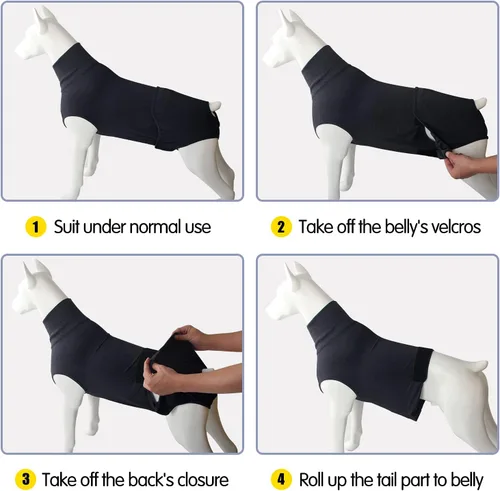 Miniatura 5 de HEYWEAN Pañal para perros de cuerpo completo con pañales para cachorros, traje de recuperación fisiológica para perros machos y hembras Negro clásico