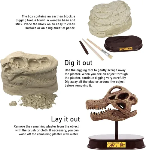 Miniatura 3 de ArtCreativity Kit de excavación de dinosaurios para niños, juego de excavación de cráneo de braquiosaurio con herramientas de excavación de fósiles