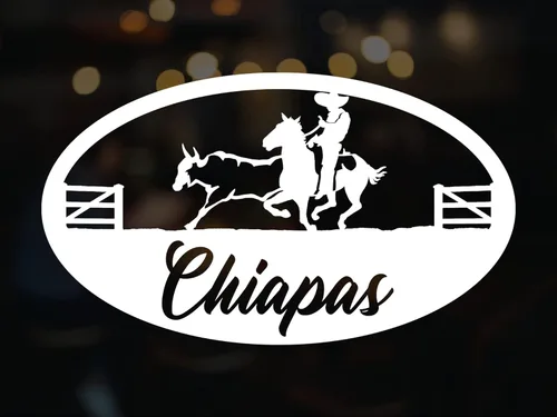 Miniatura 8 de Durango - Adhesivo adhesivo de vinilo para carros diseño Charro de México, Calcomanias para Trocas y Carros (14 x 8 pulgadas, Durango)