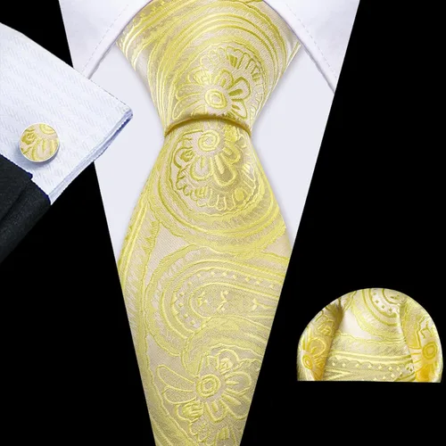 Miniatura 20 de Barry.Wang - Juego de corbata de seda para hombre, diseño de cachemira, pañuelo y gemelos de bolsillo
