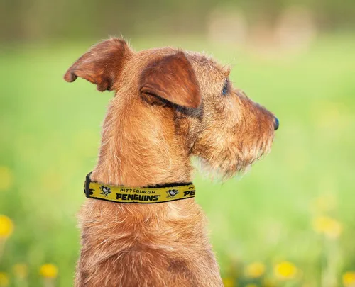 Miniatura 5 de Collar Pets First NHL para perros y gatos. ¡Ajustable, lindo y elegante! ¡El collar definitivo para fanáticos del hockey! Pittsburgh Penguins