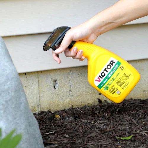 Miniatura 11 de Victor M809 - Aerosol repelente de ratones y ratas, natural, no tóxico, repelente de roedores para uso en interiores y exteriores, listo para usar
