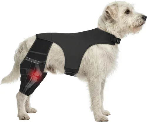 Rodillera ajustable para perro para recuperación de desgarro y artritis del ligamento cruzado anterior - Soporte de patas traseras dobles con
