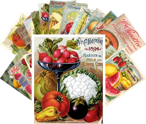 Miniatura 15 de PIXILUV Johann - Postales vintage (24 unidades), diseño de flores salvajes, jardín, aun vida, arte de pintura de museo antiguo, reimpresión