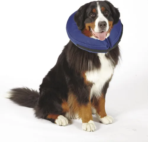 Miniatura 2 de Collares inflables para perros, collares aprobados por veterinarios diseñados para evitar que las mascotas se rayen y muerdan en lesiones, puntadas