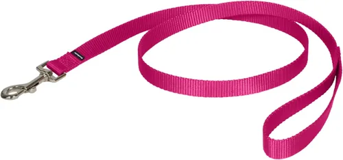 Miniatura 21 de PetSafe Correa de nailon para perro fuerte, duradera, estilo tradicional con broche de perno fácil de usar para perros pequeños, medianos y grandes