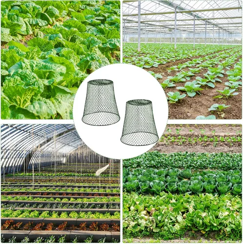 Miniatura 5 de 10 cubiertas de alambre para plantas de alambre de alambre para jardín, alambre de pollo, protector de plantas de metal resistente para plantas