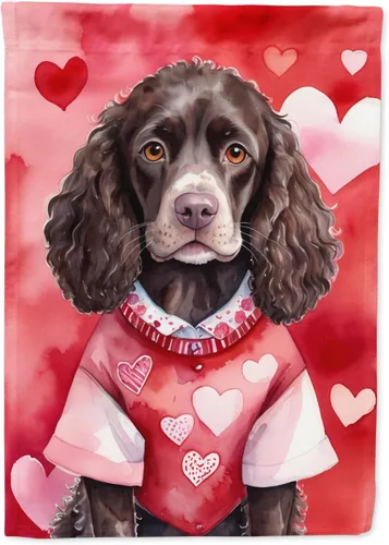 Miniatura 185 de Caroline's Treasures DAC5292CHF - Bandera de Border Collie My Valentine House para porche, grande, con manga para porche, para colgar en la pared