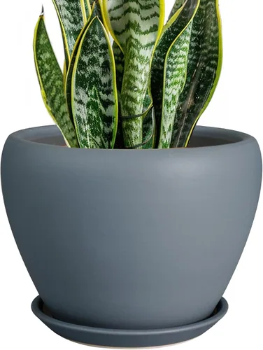 Miniatura 29 de Maceta de Cerámica Moderna con Esmalte para Suculentas con Agujero de Drenaje y Platillo, Maceta Redonda de 6 Pulgadas para Plantas de Flores