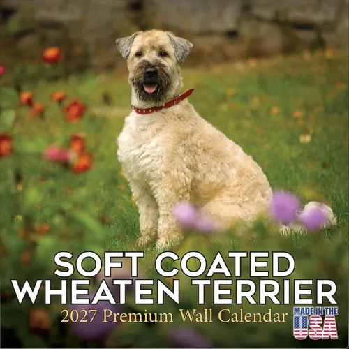 Miniatura 146 de Calendario amarillo 2025 2026 de Labrador Pups – Calendario mensual de pared de raza de perro – 12" x 24" abierto – Papel grueso anti-traspaso