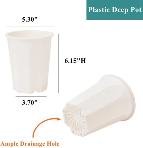 Miniatura 2 de Paquete de 10 macetas profundas de plástico blanco de 5.30 pulgadas y maceta de plántulas para suculentas, cortes, trasplantes