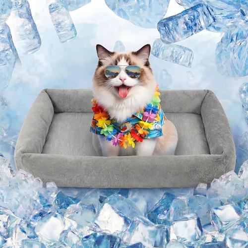 Miniatura 16 de Cama para perros pequeños y medianos, lavable y autocalentable, para gatos de interior, cama mullida de piel de conejo para mascotas para cachorros