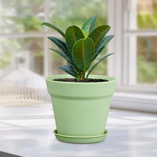Miniatura 6 de Meowell Macetas de plástico de 6 pulgadas, paquete de 16 macetas para plantas de interior y exterior, macetas con agujeros de drenaje y platillos