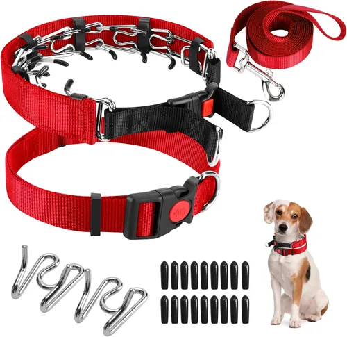 Miniatura 32 de Collar de entrenamiento de puntas con puntas cómodas y hebilla de cierre rápido – Collar de pellizco para perro con cubierta de nailon