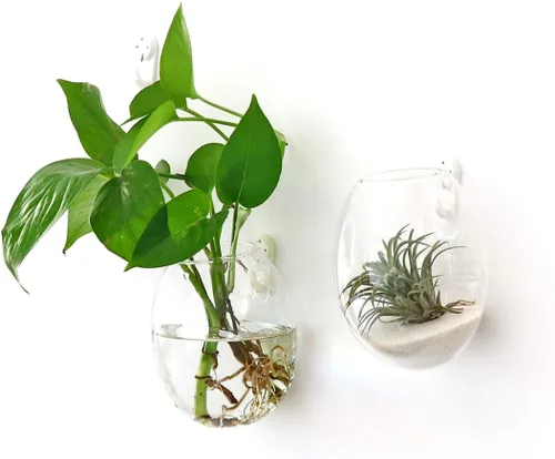 Miniatura 2 de Kingbuy - Conjunto de 2 macetas colgantes con diseño oval en vidrio para pared