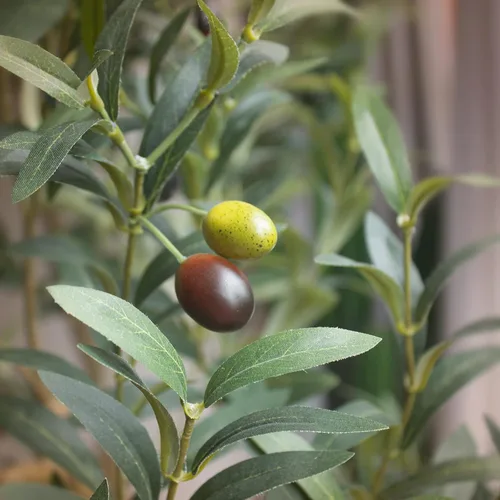 Miniatura 2 de Bellacat Árbol de olivo sintético de 6 pies, olivos artificiales para interiores con tronco de madera natural y hojas y frutas realistas. Olivo