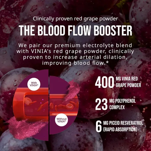 Miniatura 3 de VINIA Mezcla de polvo de hidratación de electrolitos Resveratrol Aumenta el flujo sanguíneo y la circulación Sal marina, agua de coco, potasio