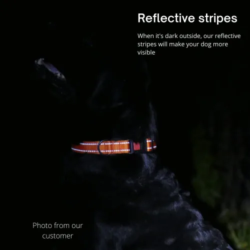 Miniatura 2 de CollarDirect - Collar de seguridad reflejante para perro, con hebilla ajustable de nailon, para perros pequeños, medianos, grandes, en color rosa