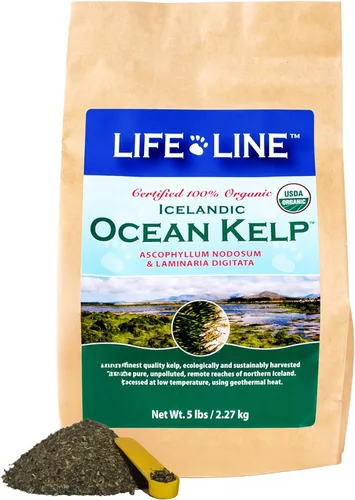 Miniatura 10 de Life Line Algas Marinas Oceánicas Orgánicas Certificadas por USDA para Mascotas y Ganado Apoya la Salud de la Piel y el Pelaje, la Función