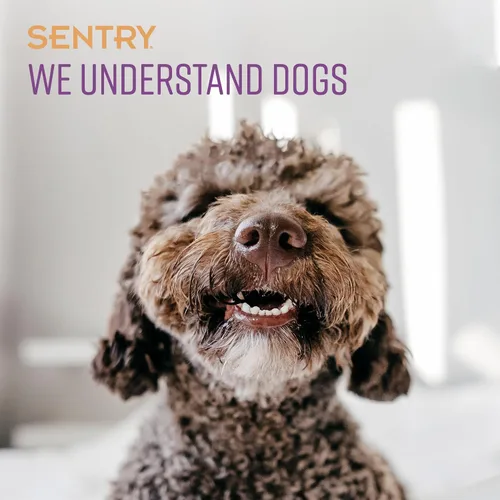 Miniatura 3 de Sentry Calming Chews for Dogs