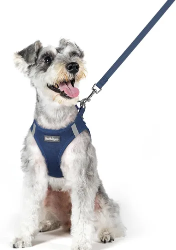 Miniatura 138 de rabbitgoo Juego de arnés para perro de tamaño pequeño y correa, chaleco ligero suave para cachorro, arnés de malla transpirable para mascotas