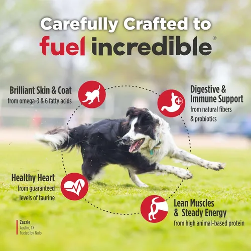 Miniatura 4 de Nulo Freestyle Alimento para Perros Adultos, Alimento Seco Premium Totalmente Natural Sin Granos de Croquetas Pequeñas para Perros, con Probiótico