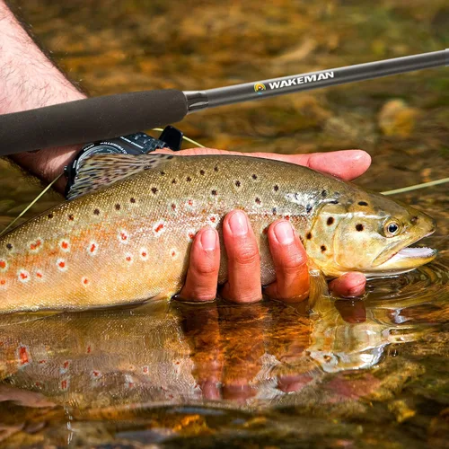Miniatura 4 de Combo de caña y carrete de pesca con mosca - Incluye estuche de transporte, moscas y línea de pesca - Equipo y accesorios de la serie Charter