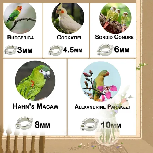 Miniatura 5 de Correa de pájaro, arnés de loro antimordeduras, cuerda retráctil para pájaros voladores con 3 piezas de diferentes tamaños de anillos para pies