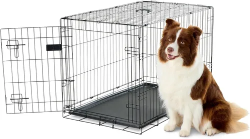 Carlson Jaula para perros de metal de una sola puerta, segura y compacta, tamaño intermedio