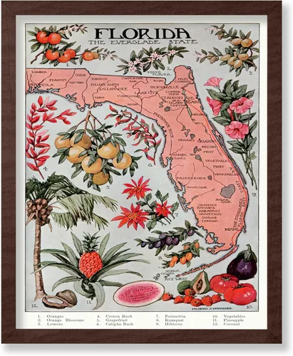 Miniatura 45 de Monem Art Mapa Monumental Vintage de Florencia Impresión - Póster de Viaje Retro - Arte de Italia - Gran Regalo para Hombres, Mujeres, Amantes