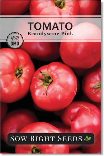 Sow Right Seeds - Semillas de tomate rosa Brandywine para plantar - Tomates de filete de res sin OMG - Frutas grandes y jugosas para jardín -